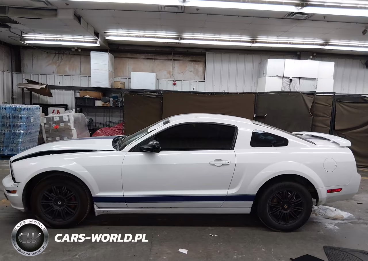 2005 Ford Mustang V6 Deluxe-V6 Premium VIN:1ZVFT80N955109737 - 14