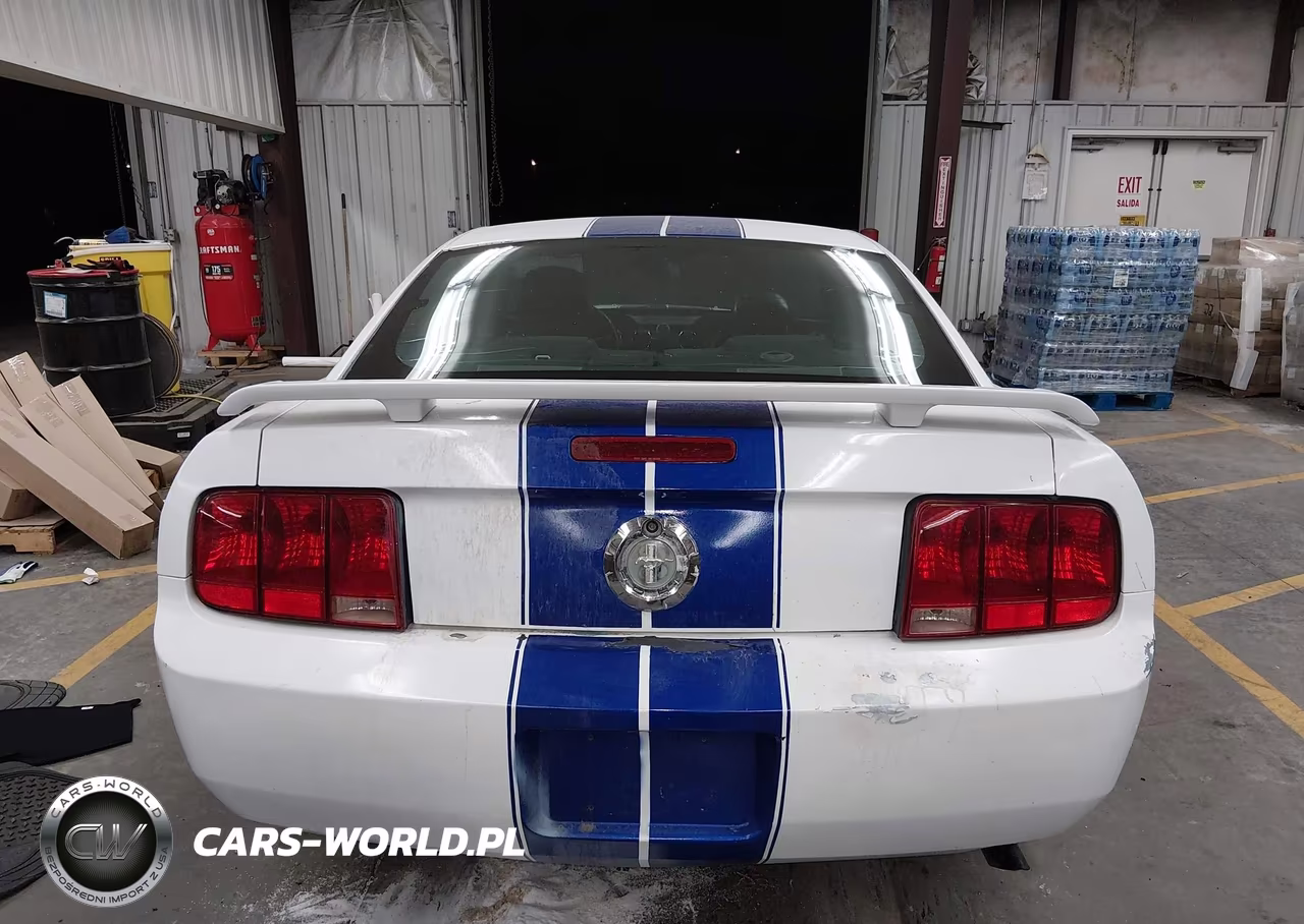 2005 Ford Mustang V6 Deluxe-V6 Premium VIN:1ZVFT80N955109737 - 16