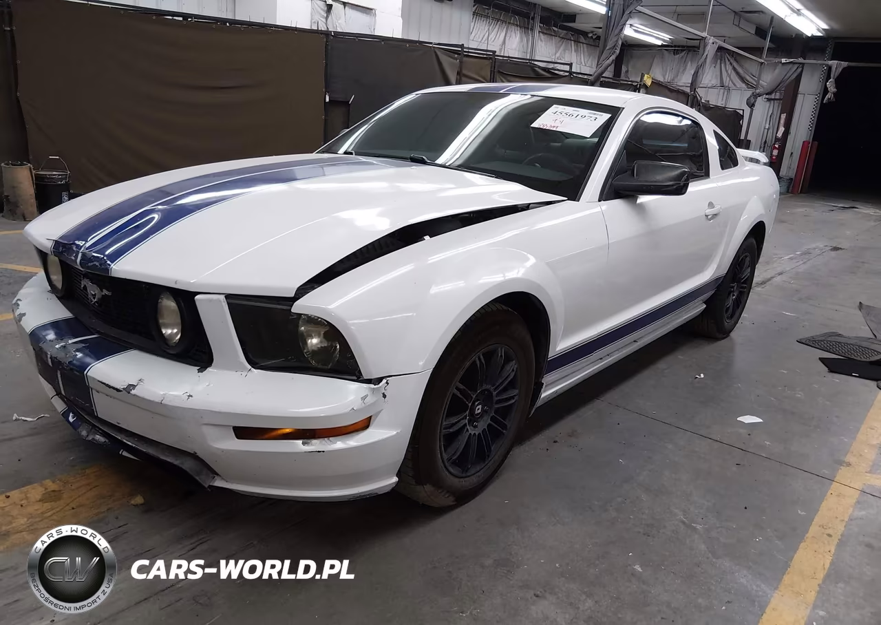 2005 Ford Mustang V6 Deluxe-V6 Premium VIN:1ZVFT80N955109737 - 2