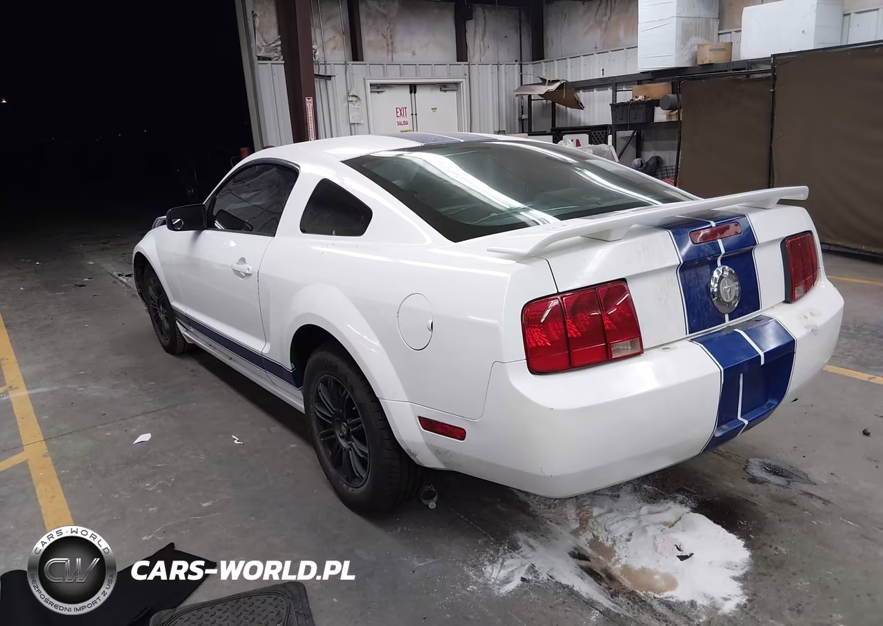 2005 Ford Mustang V6 Deluxe-V6 Premium VIN:1ZVFT80N955109737 - 3
