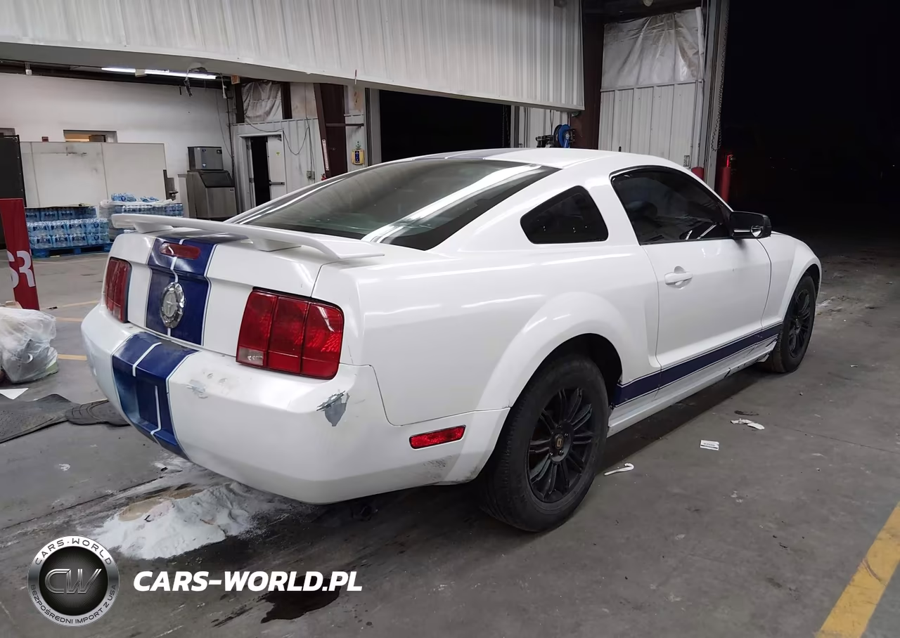 2005 Ford Mustang V6 Deluxe-V6 Premium VIN:1ZVFT80N955109737 - 4