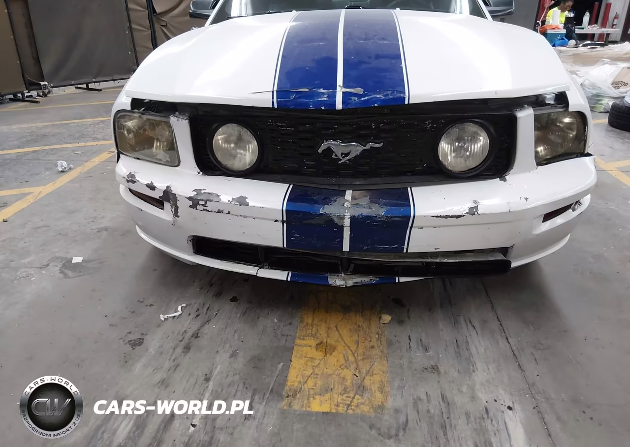 2005 Ford Mustang V6 Deluxe-V6 Premium VIN:1ZVFT80N955109737 - 6