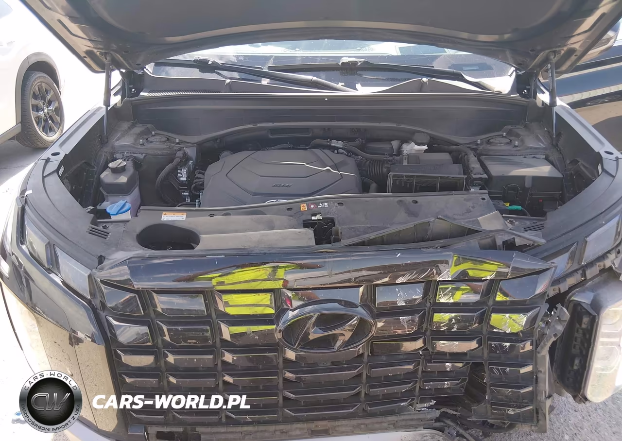 2023 Hyundai Palisade Limited VIN:KM8R5DGE8PU570408 - 10
