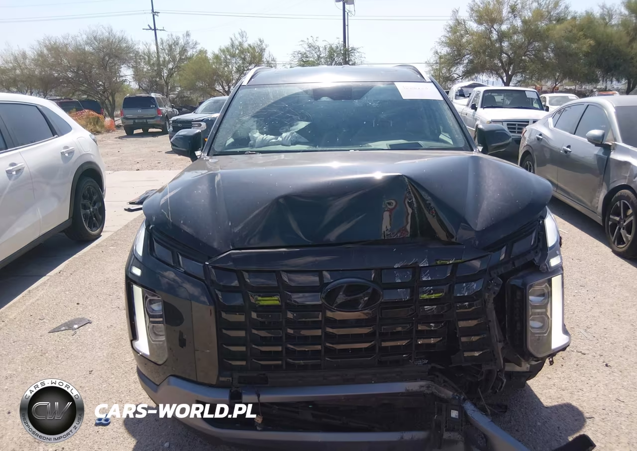 2023 Hyundai Palisade Limited VIN:KM8R5DGE8PU570408 - 12