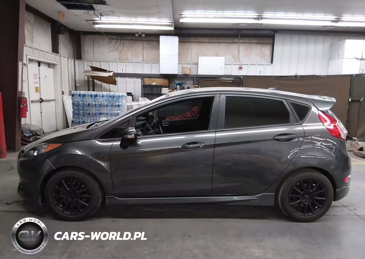 2016 Ford Fiesta St VIN:3FADP4GX0GM183534 - 14