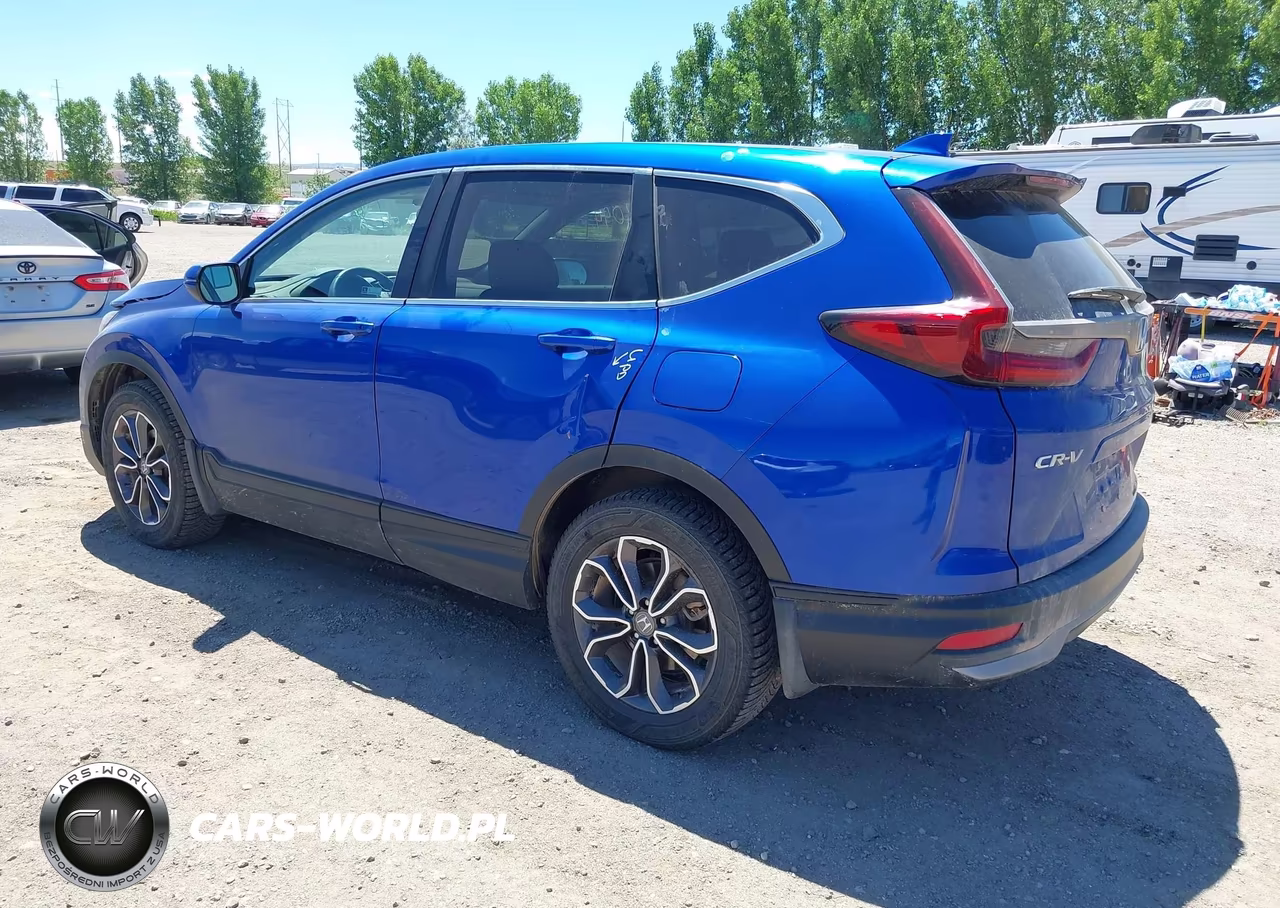 2020 Honda Cr-V Awd Ex VIN:7FARW2H54LE003205 - 3