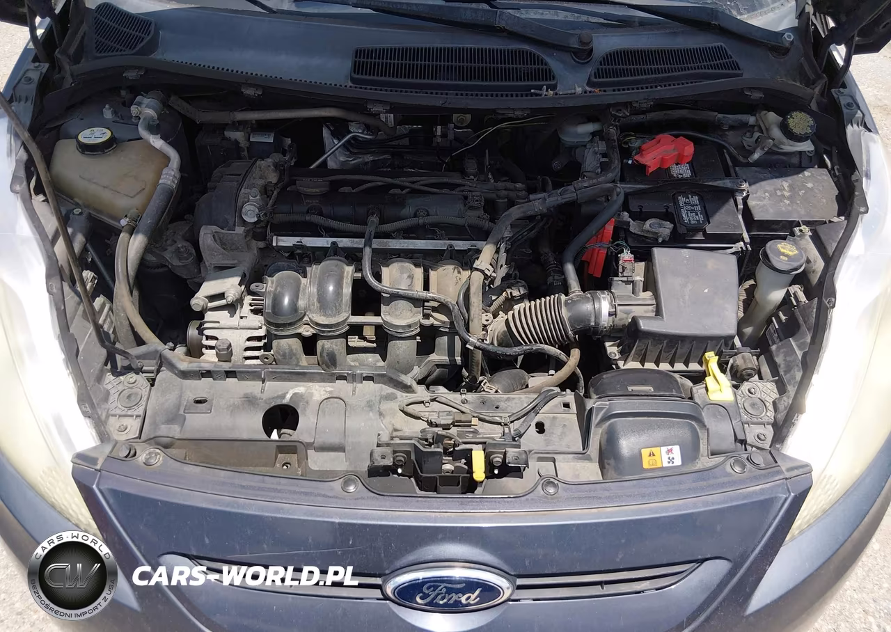 2013 Ford Fiesta Se VIN:3FADP4EJ8DM118814 - 10