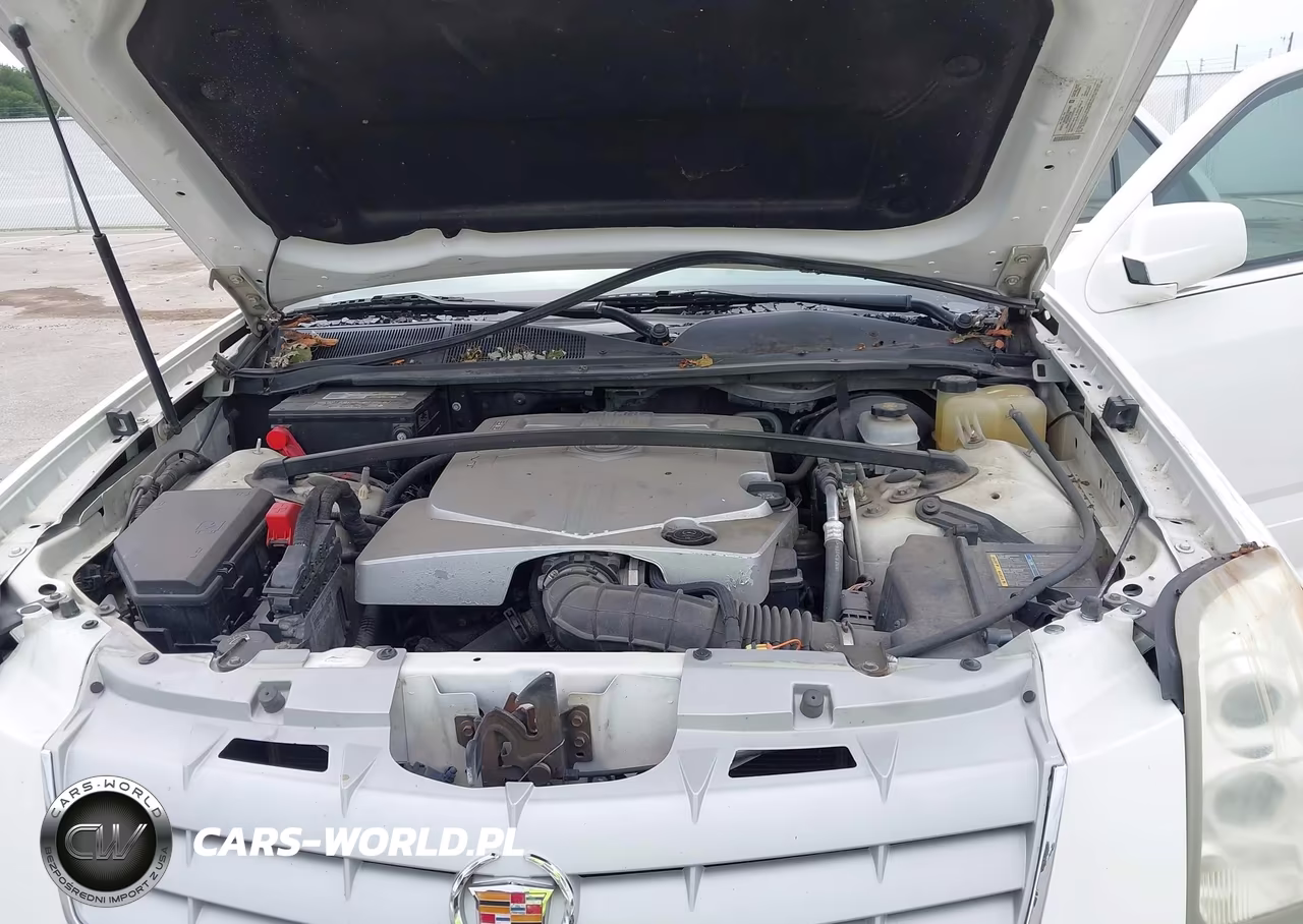 2007 Cadillac Srx V6 VIN:1GYEE637270125198 - 10