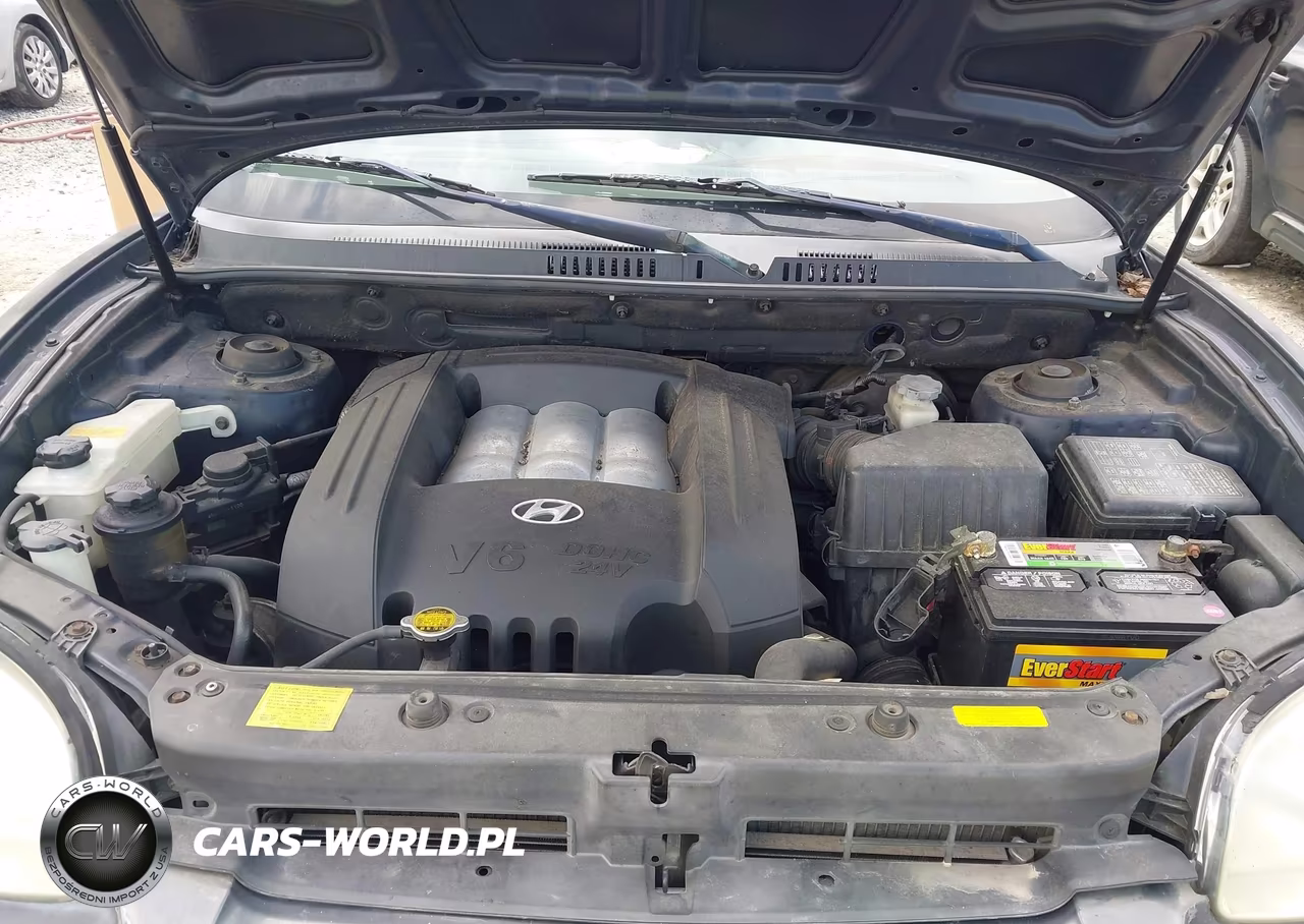 2005 Hyundai Santa Fe Gls VIN:KM8SC13D85U963826 - 10