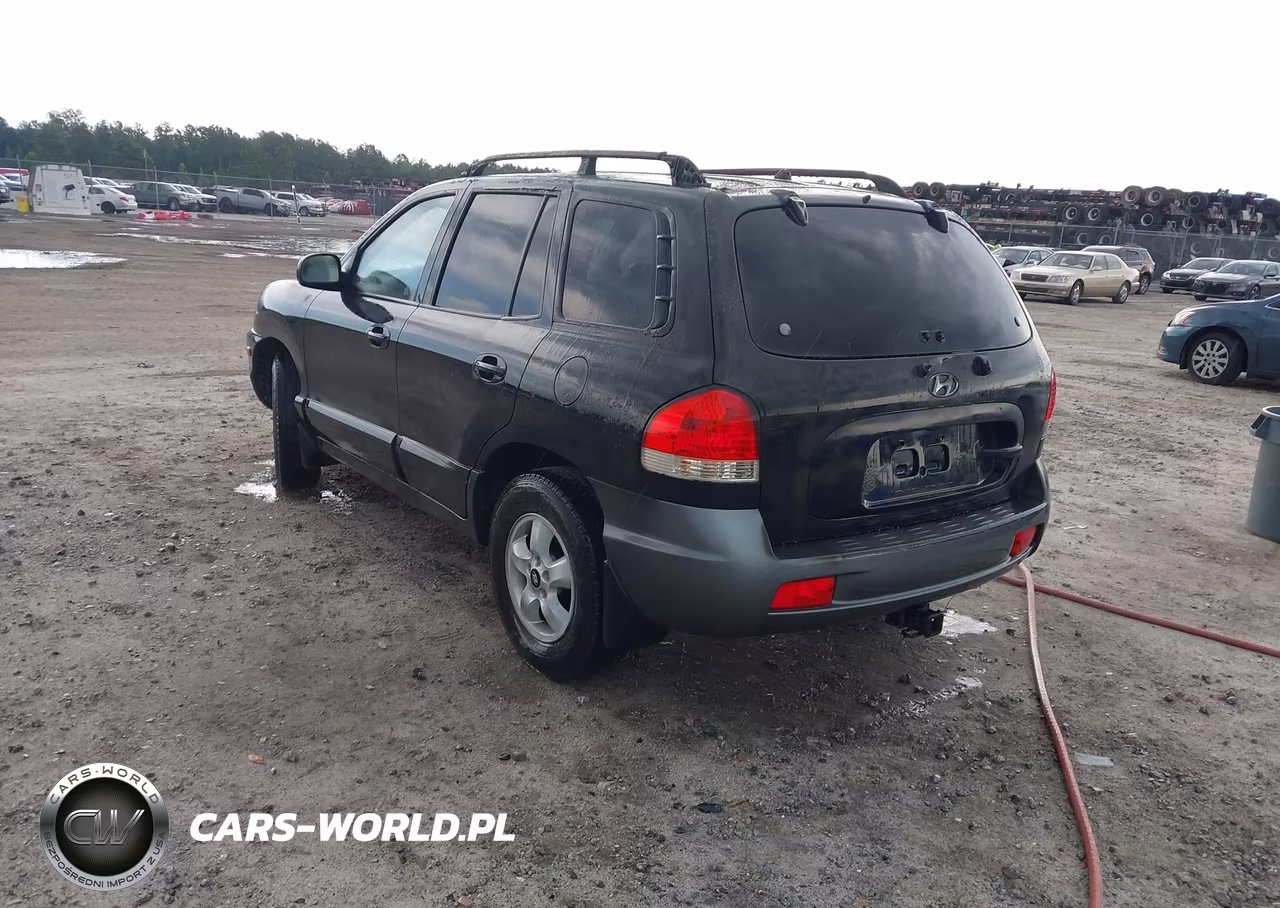 2005 Hyundai Santa Fe Gls VIN:KM8SC13D85U963826 - 3