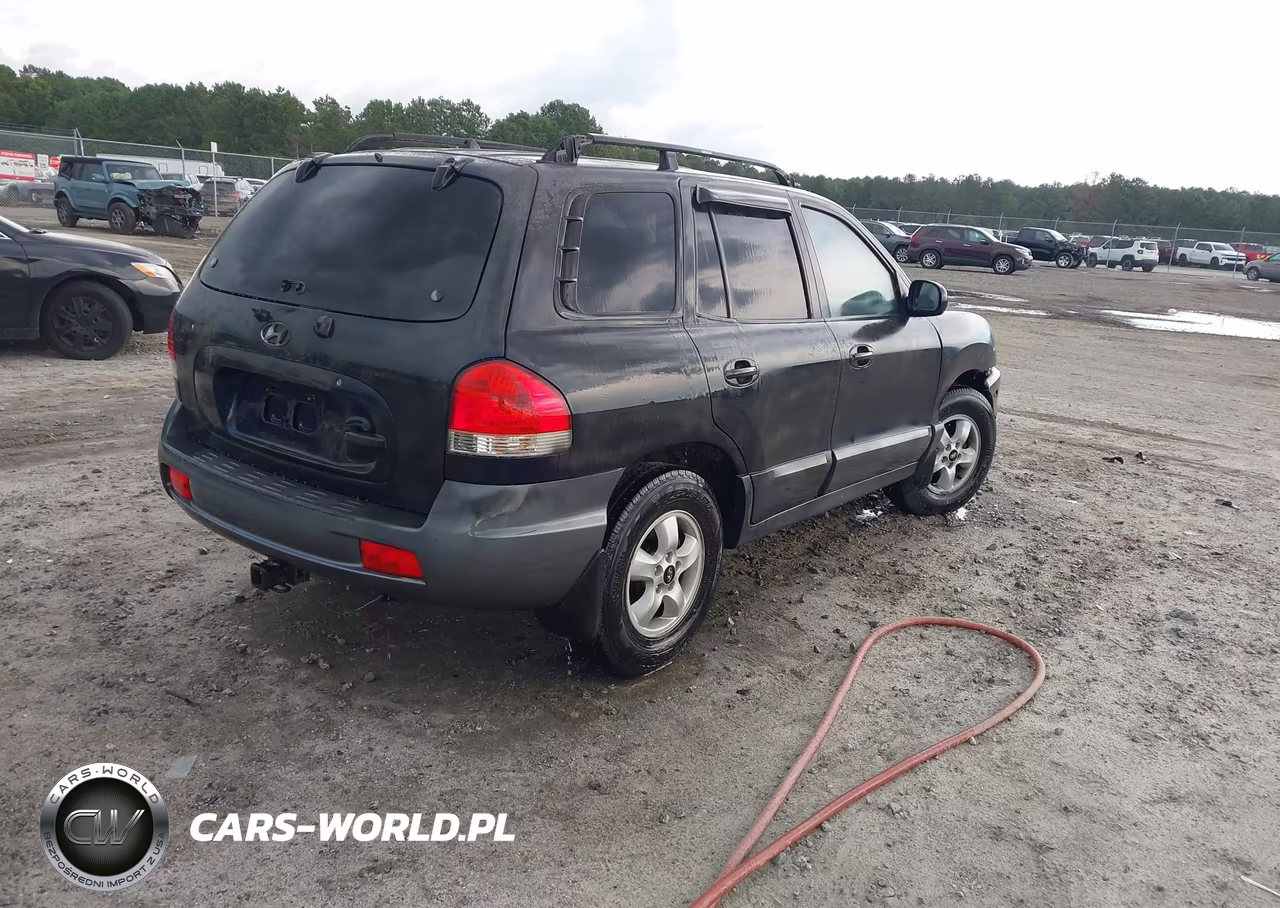 2005 Hyundai Santa Fe Gls VIN:KM8SC13D85U963826 - 4