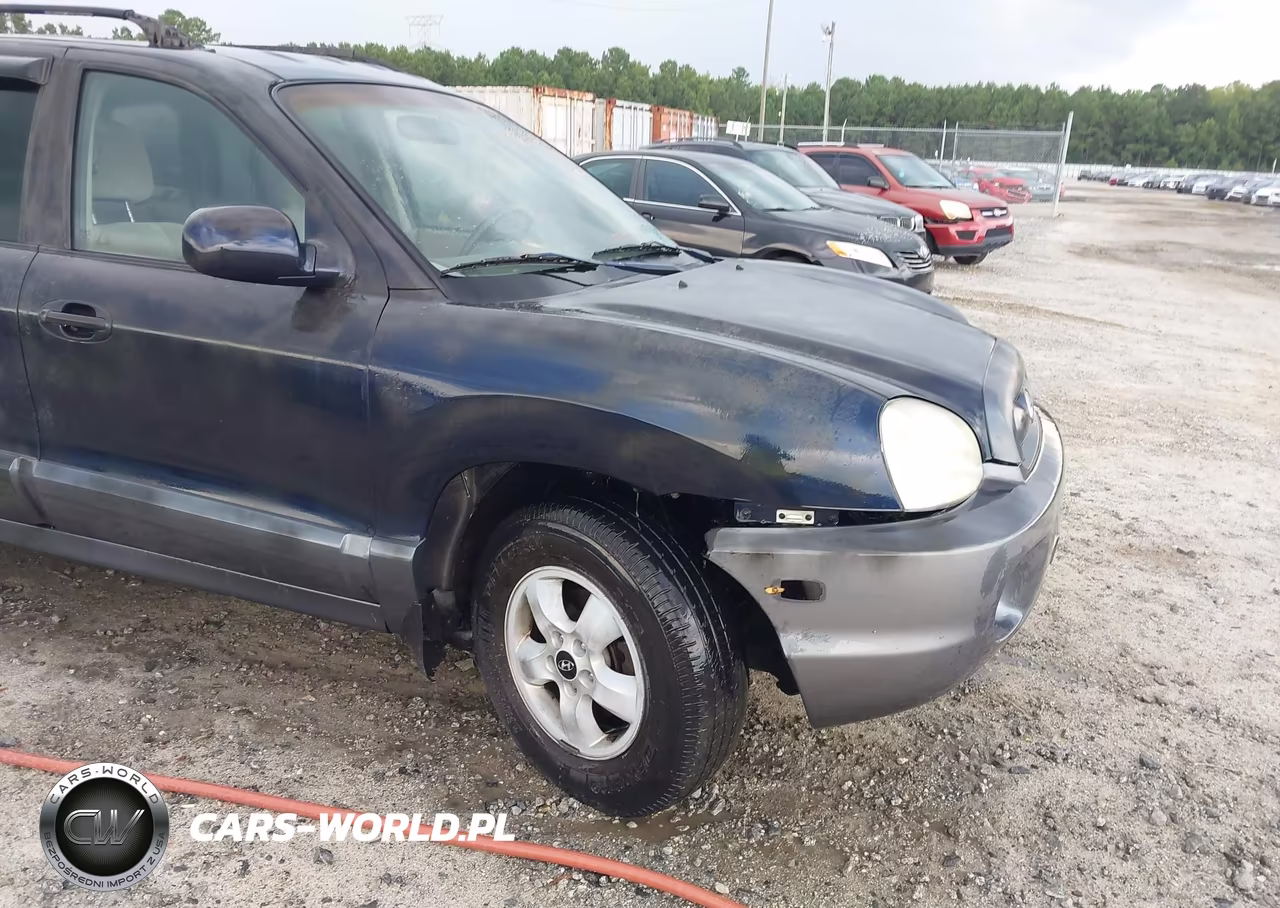 2005 Hyundai Santa Fe Gls VIN:KM8SC13D85U963826 - 6