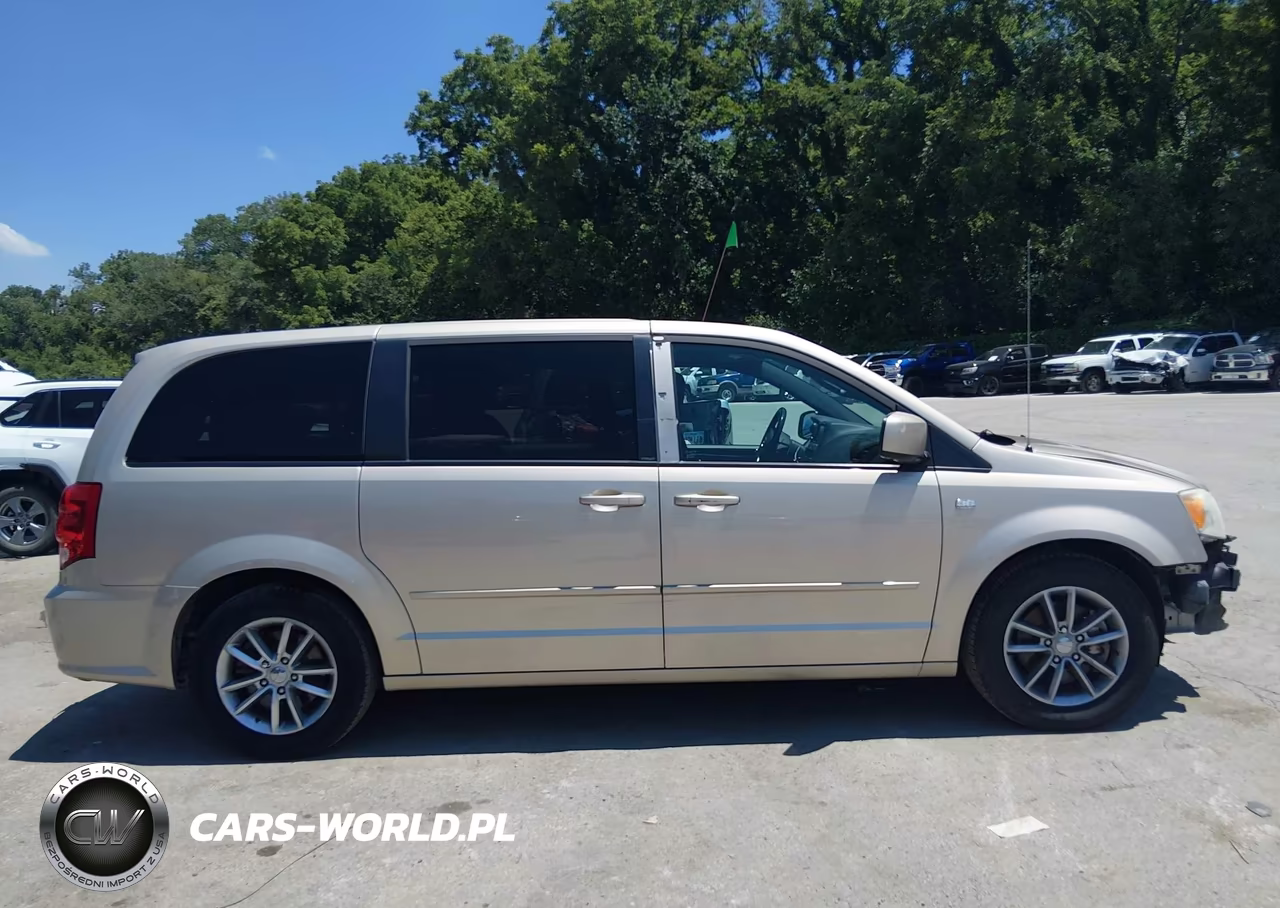 2014 Dodge Grand Caravan Se 30Th Anniversary VIN:2C4RDGBGXER339845 - 14