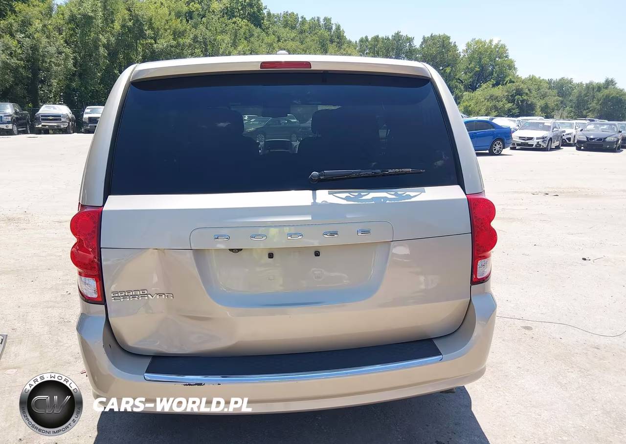 2014 Dodge Grand Caravan Se 30Th Anniversary VIN:2C4RDGBGXER339845 - 17