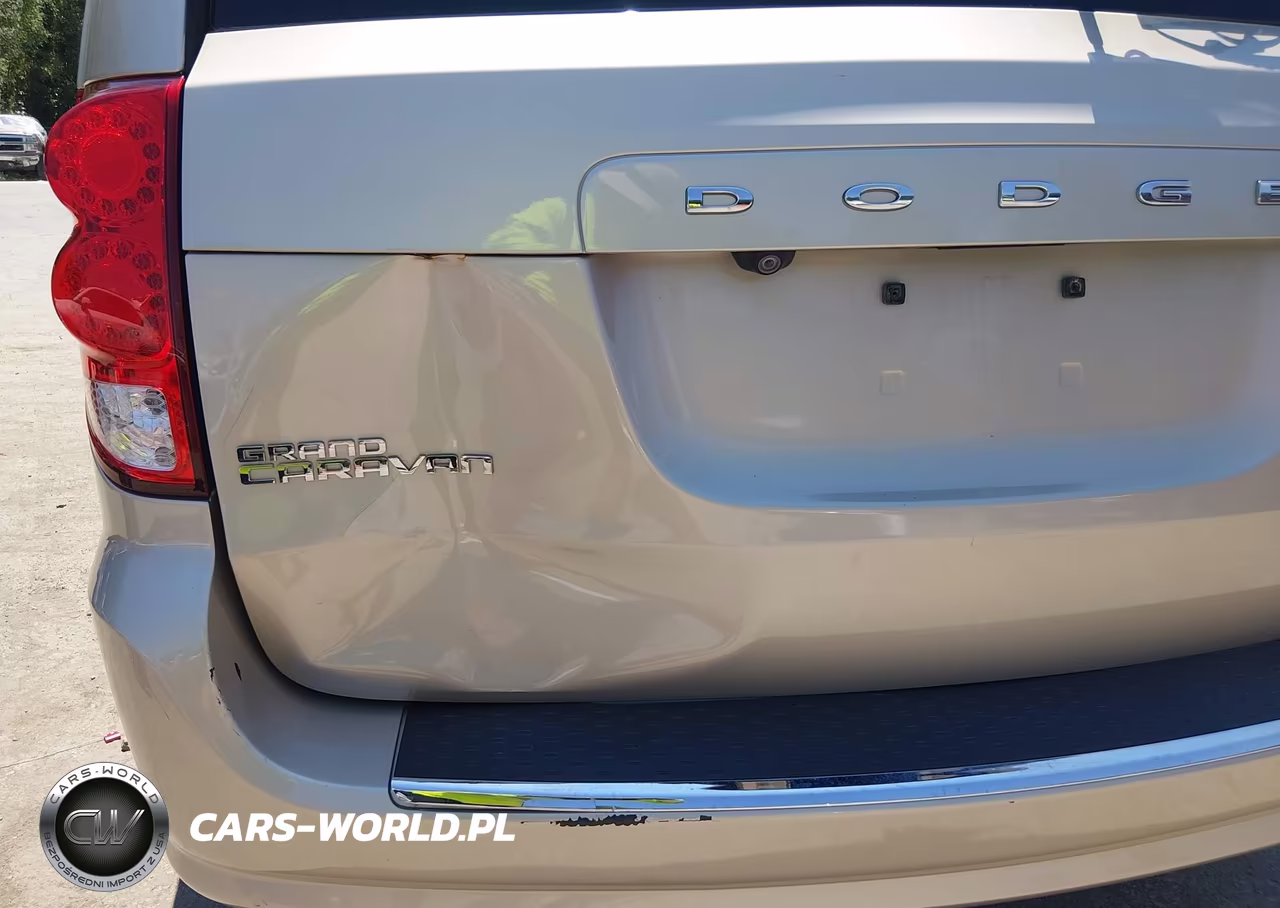 2014 Dodge Grand Caravan Se 30Th Anniversary VIN:2C4RDGBGXER339845 - 19