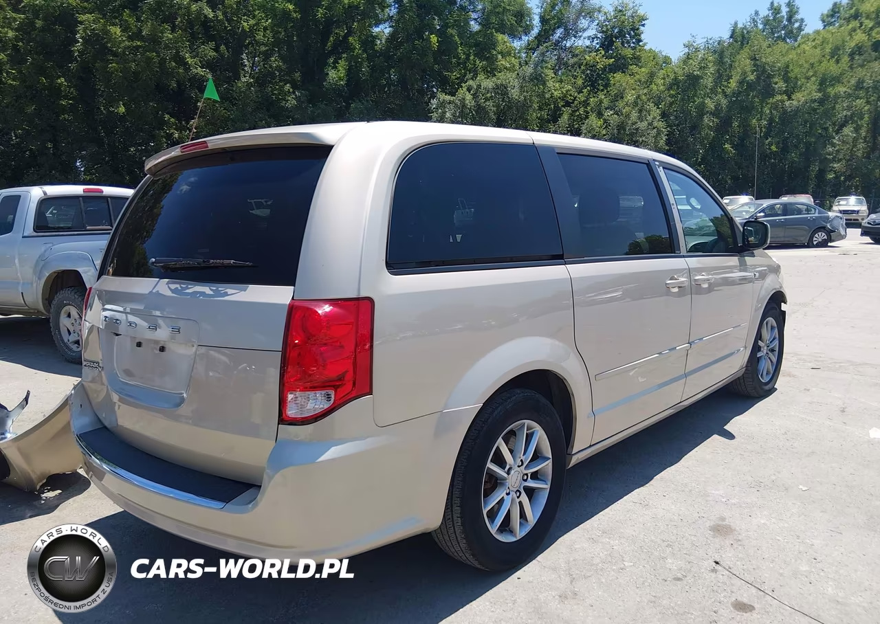 2014 Dodge Grand Caravan Se 30Th Anniversary VIN:2C4RDGBGXER339845 - 4
