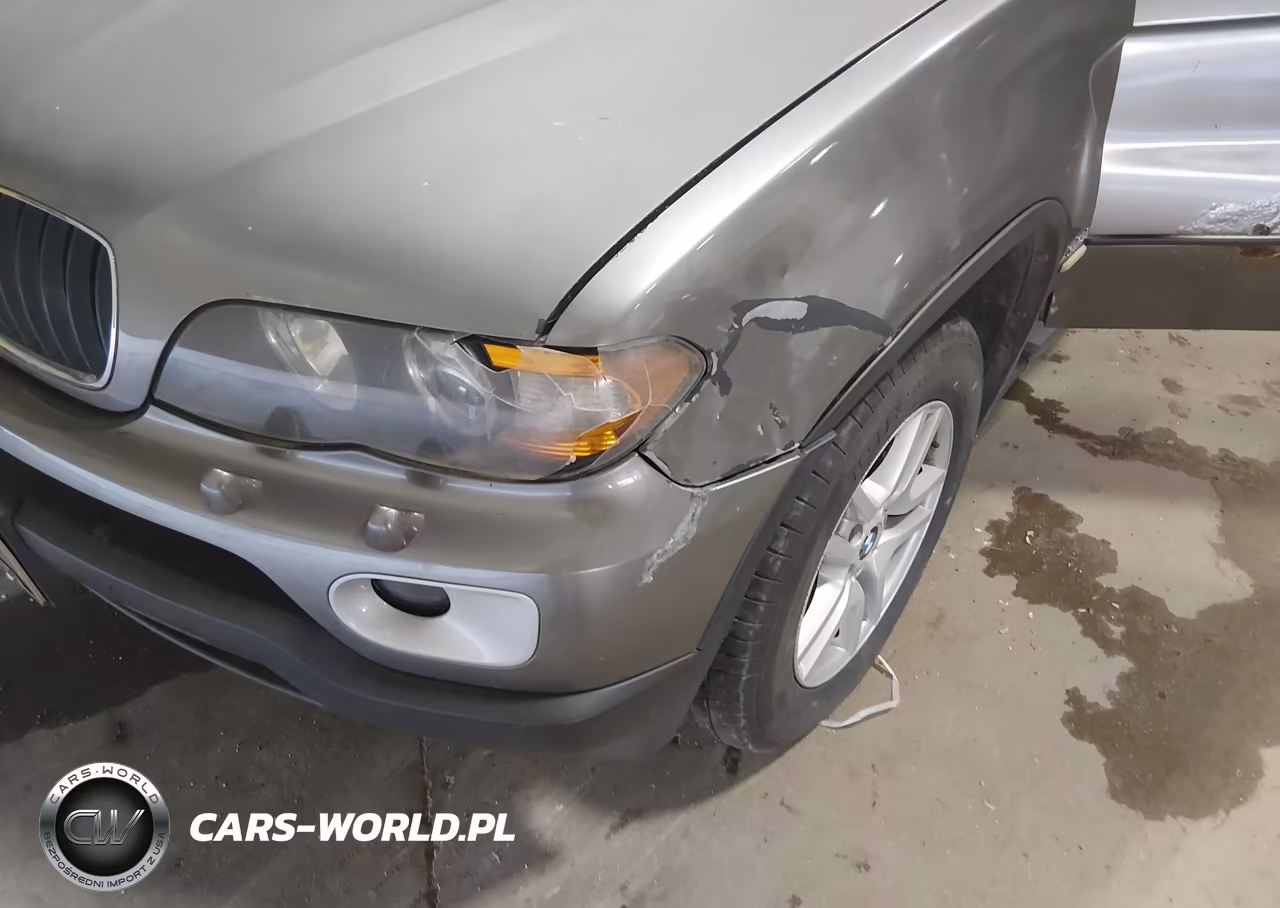 2004 BMW X5 3.0I VIN:5UXFA13524LU43189 - 6