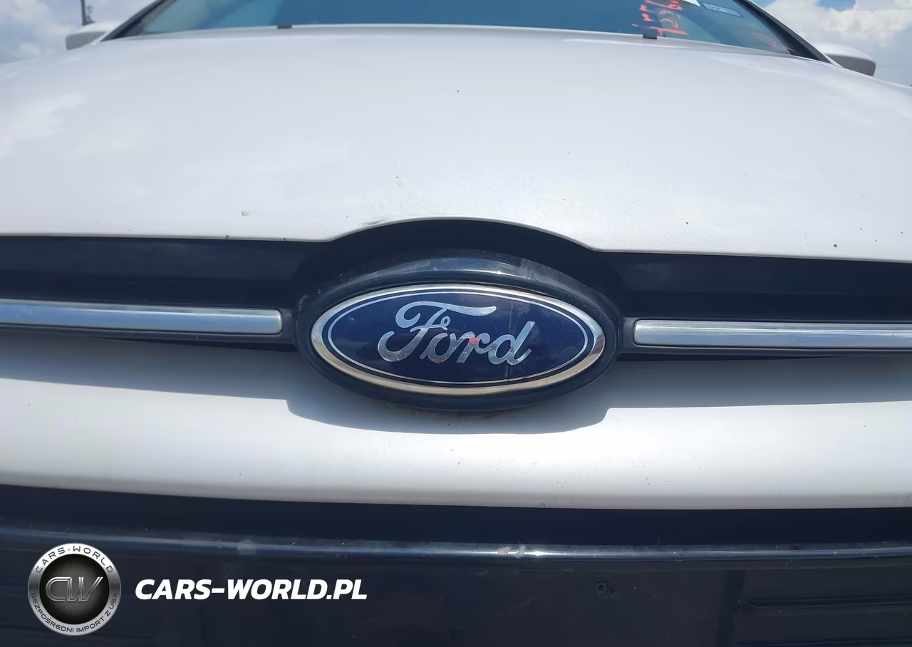 2013 Ford Focus Titanium VIN:1FADP3N21DL169625 - 6