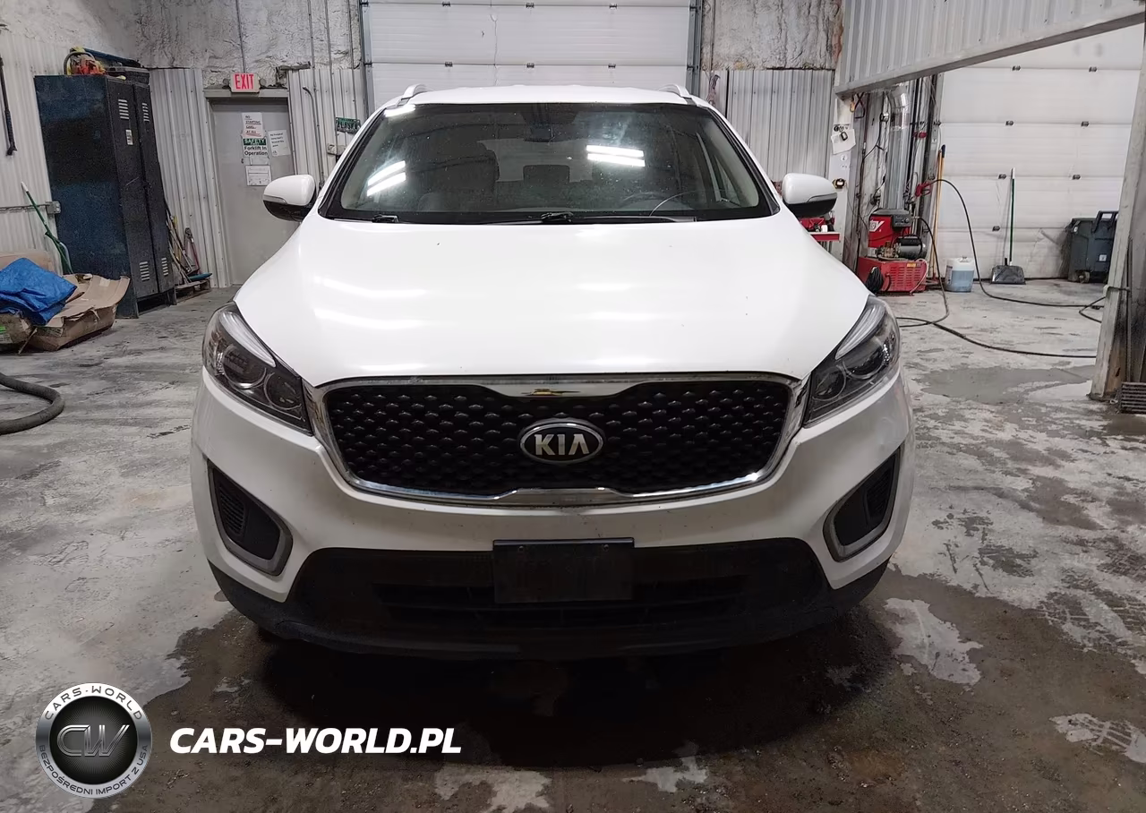 2016 Kia Sorento 3.3L Lx VIN:5XYPGDA52GG059101 - 12