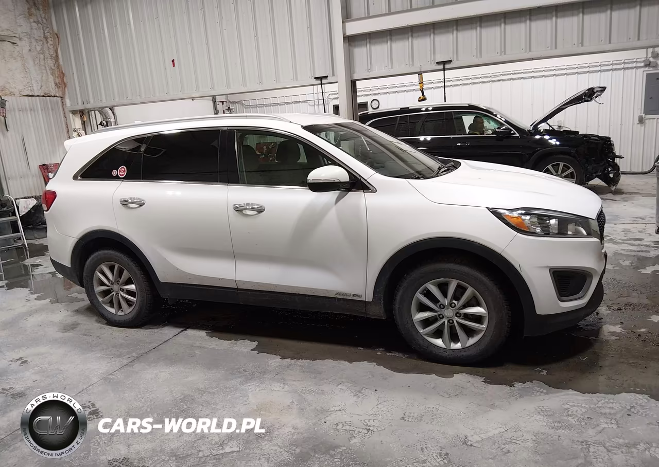 2016 Kia Sorento 3.3L Lx VIN:5XYPGDA52GG059101 - 13