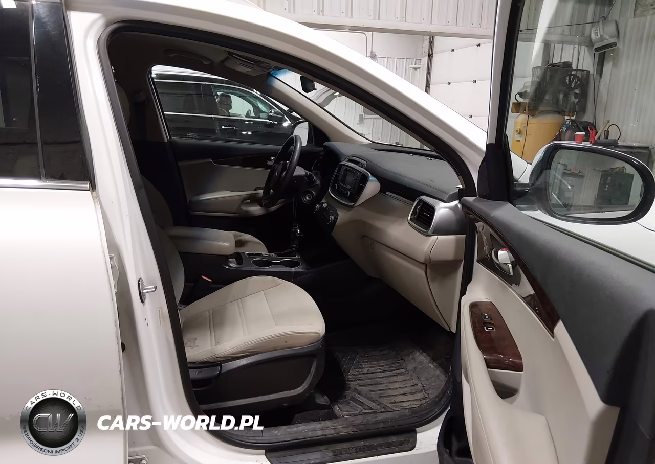 2016 Kia Sorento 3.3L Lx VIN:5XYPGDA52GG059101 - 5