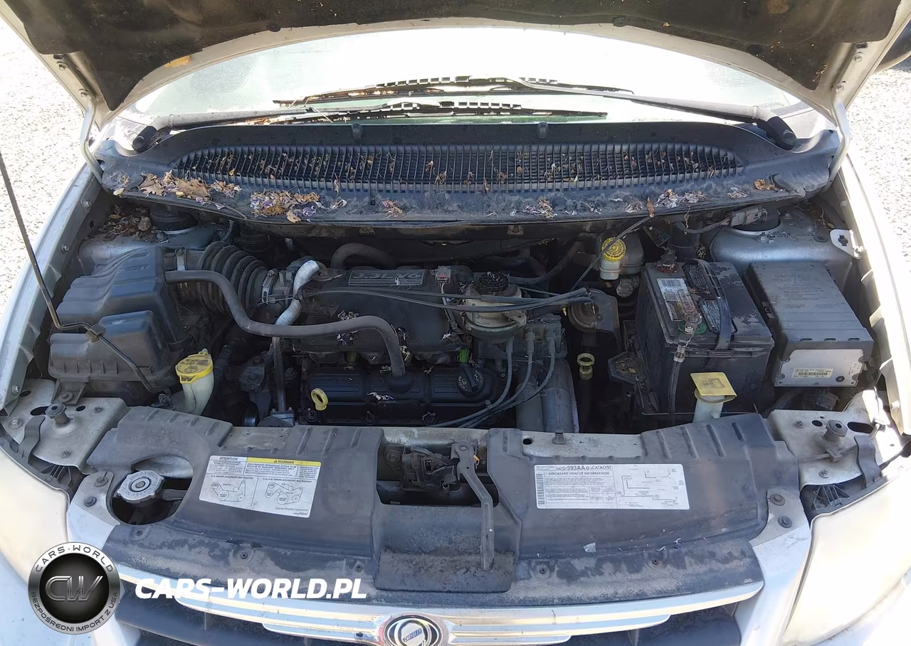 2006 Chrysler Town & Country Lx VIN:1A4GP44R86B751686 - 10