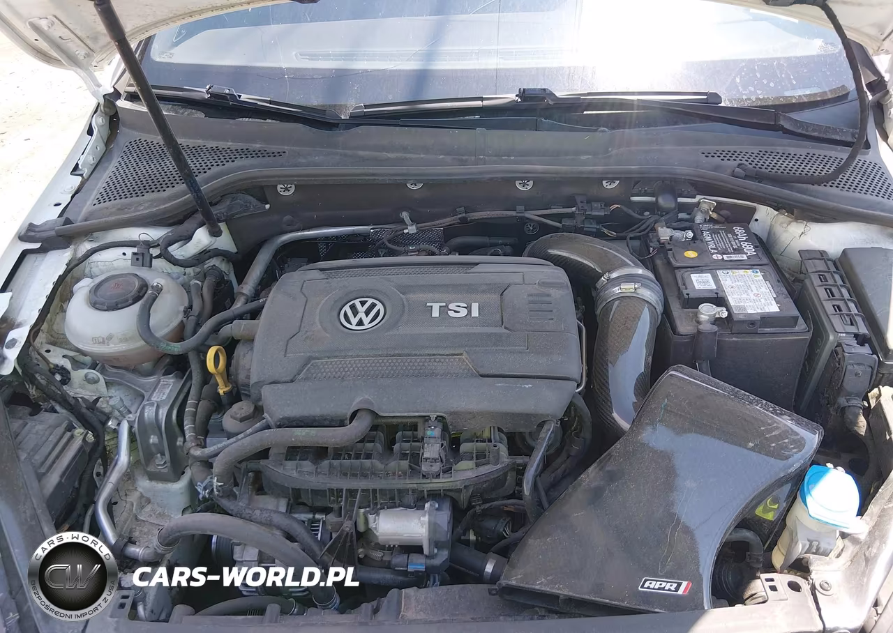 2019 Volkswagen Golf Gti 2.0T Autobahn-2.0T Rabbit Edition-2.0T S-2.0T Se VIN:3VW6T7AU9KM038142 - 10