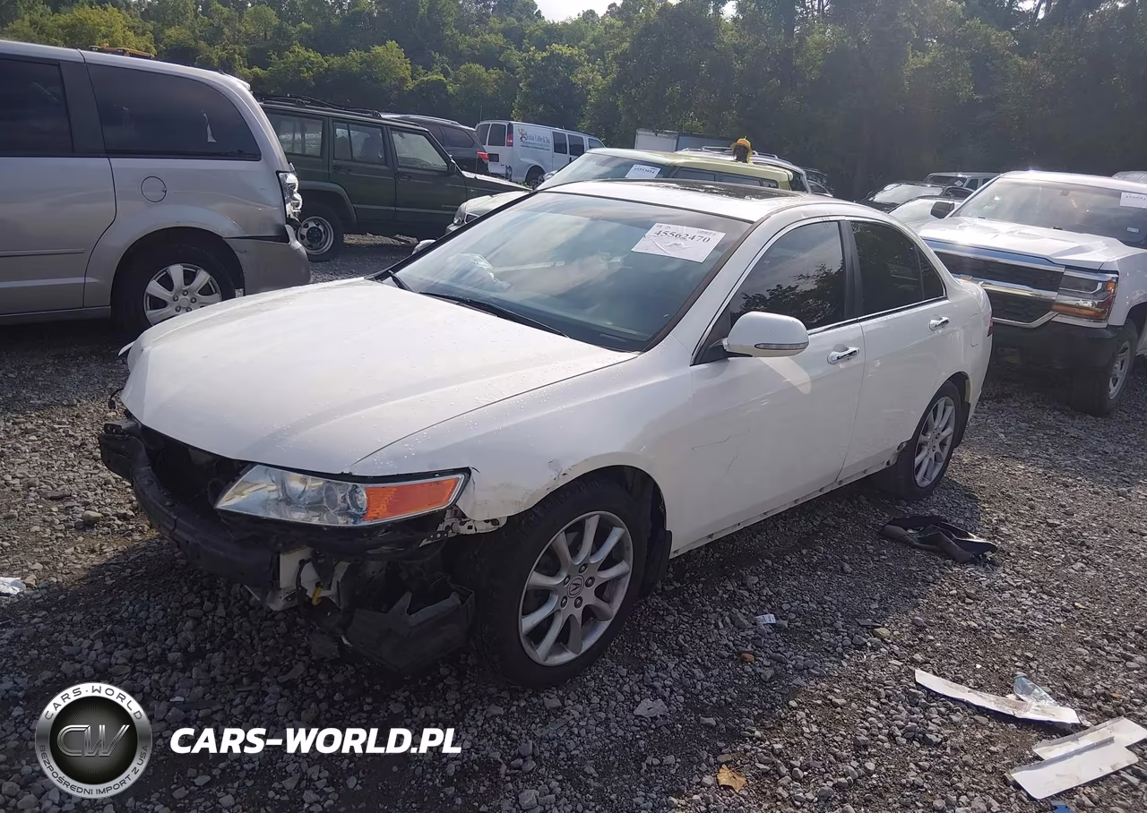 2006 Acura Tsx VIN:JH4CL96856C022071 - 2