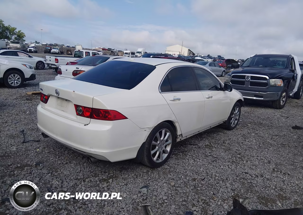 2006 Acura Tsx VIN:JH4CL96856C022071 - 4