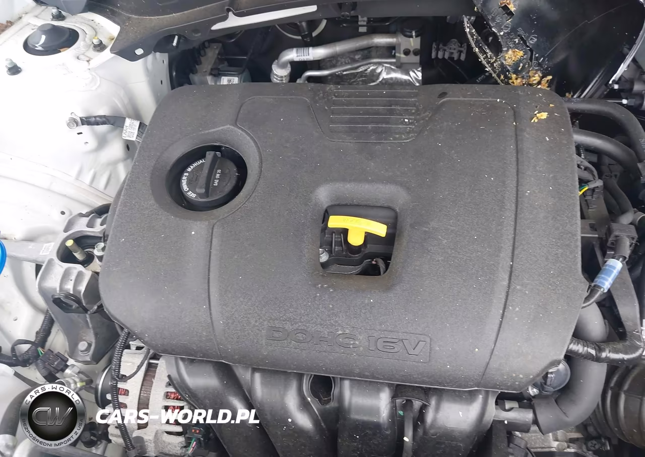 2025 Kia Seltos S VIN:KNDEUCAA6S7705155 - 10
