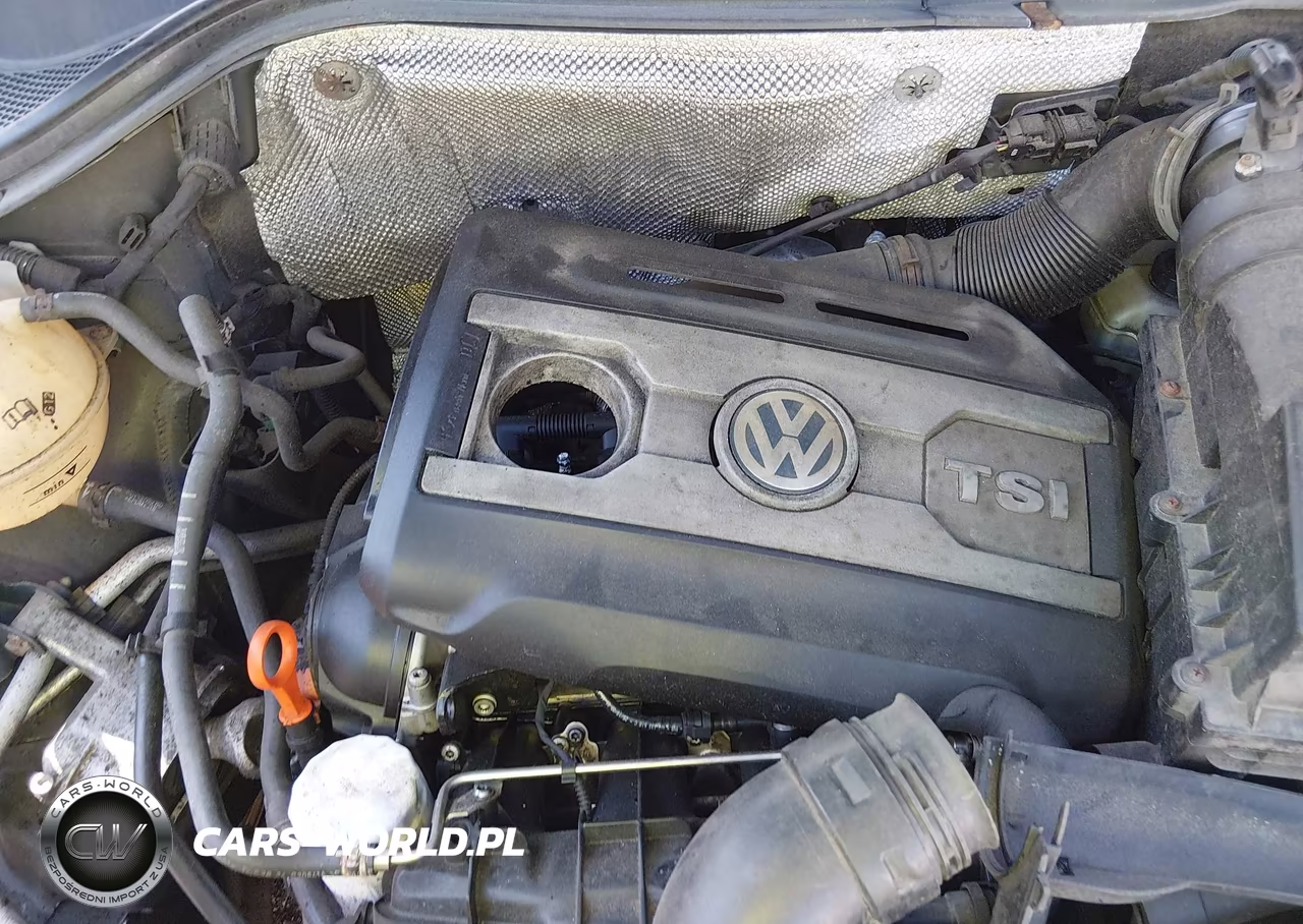 2009 Volkswagen Tiguan Se VIN:WVGBV75N49W528699 - 10