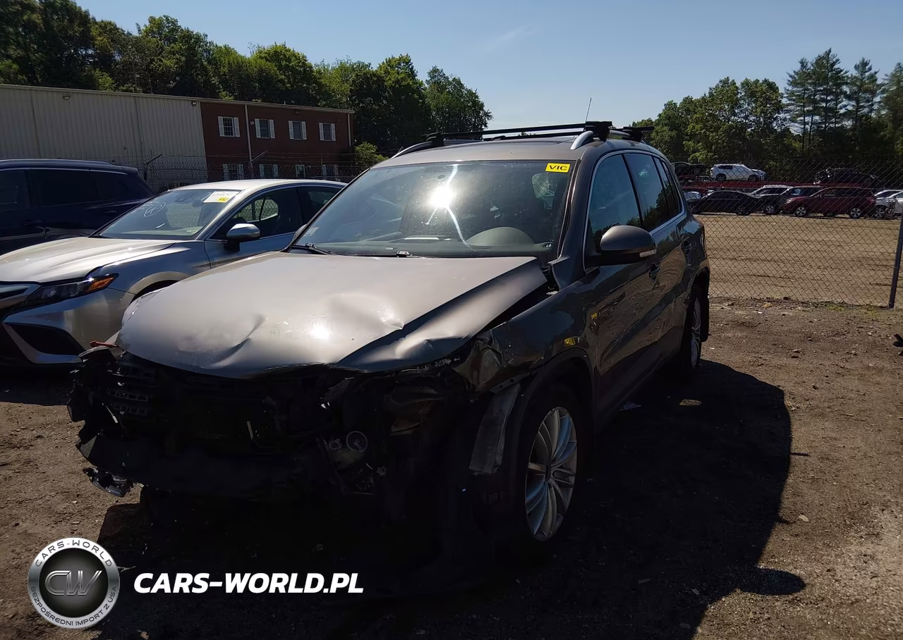 2009 Volkswagen Tiguan Se VIN:WVGBV75N49W528699 - 2