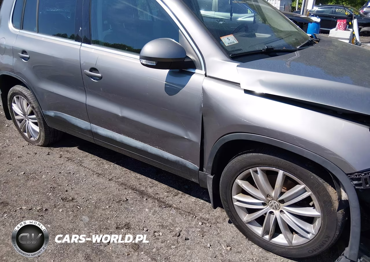 2009 Volkswagen Tiguan Se VIN:WVGBV75N49W528699 - 6