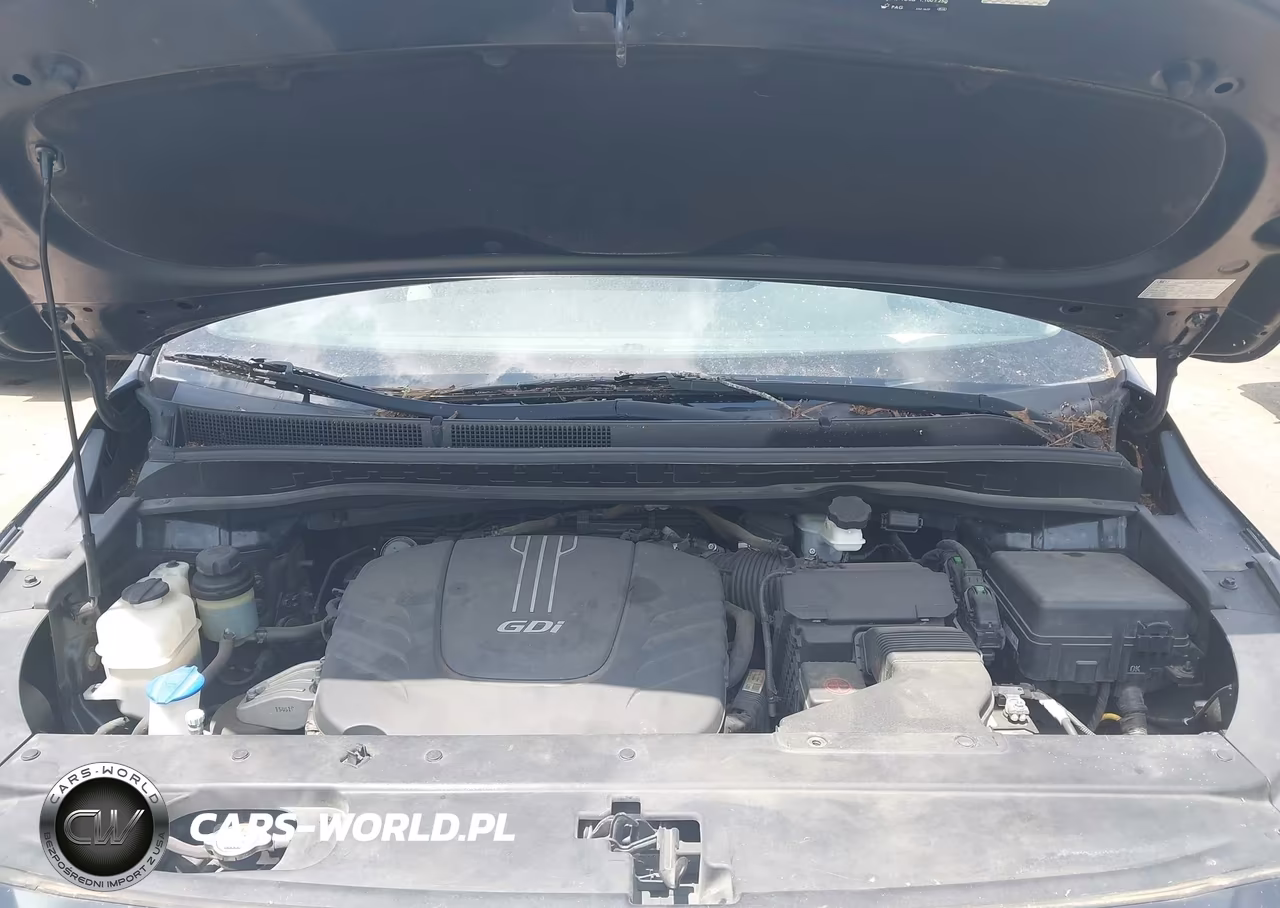 2016 Kia Sedona Lx VIN:KNDMB5C14G6105662 - 10
