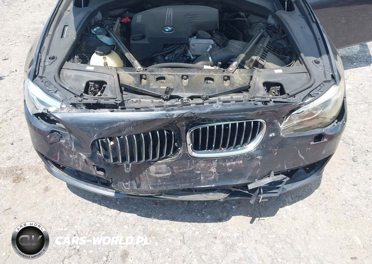 2014 BMW 528I VIN:WBA5A5C54ED504457 - 10