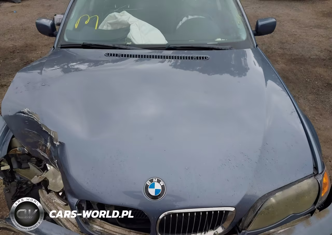 2002 BMW 3 Series 325I VIN:WBAEV33402KL67279 - 10