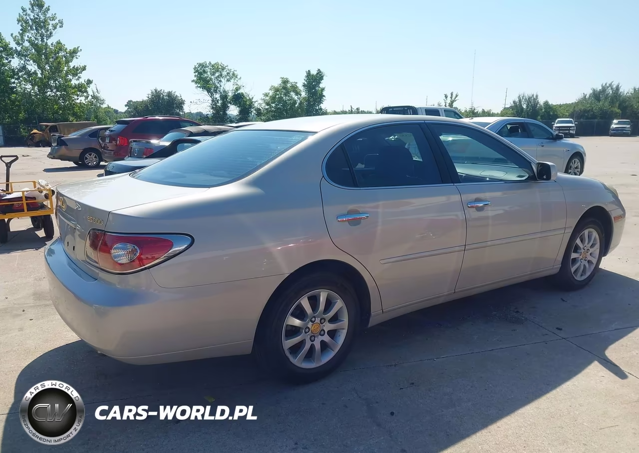 2002 Lexus Es 300 VIN:JTHBF30G820045775 - 4