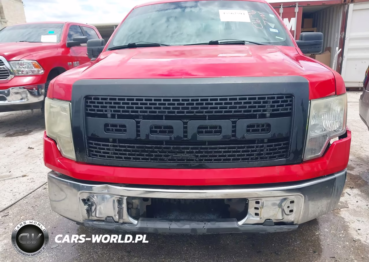 2009 Ford F-150 Stx-Xl-Xlt VIN:1FTRX12879KC16196 - 12