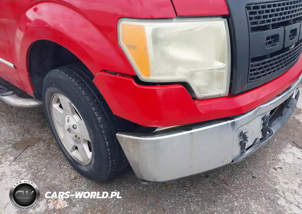 2009 Ford F-150 Stx-Xl-Xlt VIN:1FTRX12879KC16196 - 6