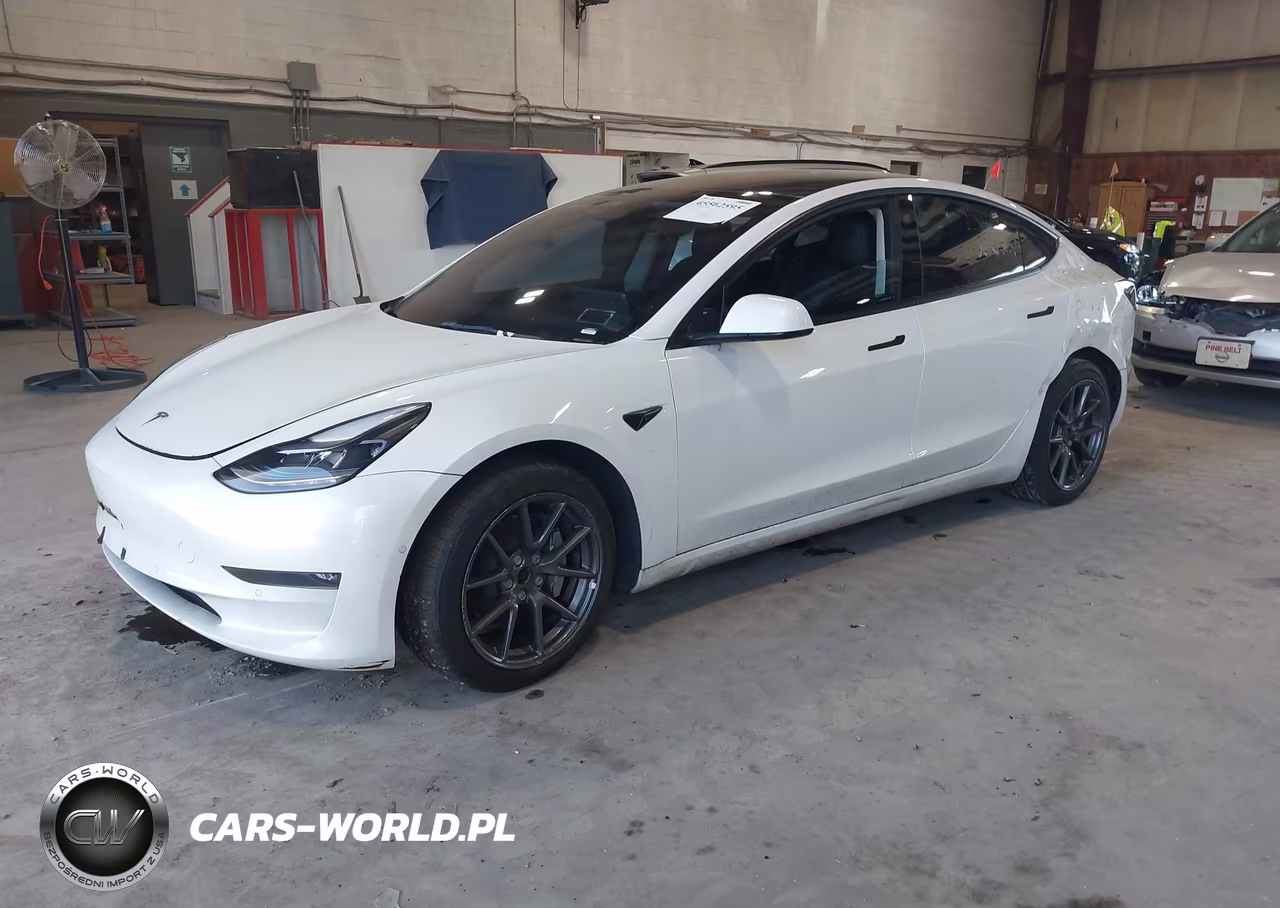 2022 Tesla Model 3 Long Range Dual Motor All-Wheel Drive VIN:5YJ3E1EB7NF183341 - 2