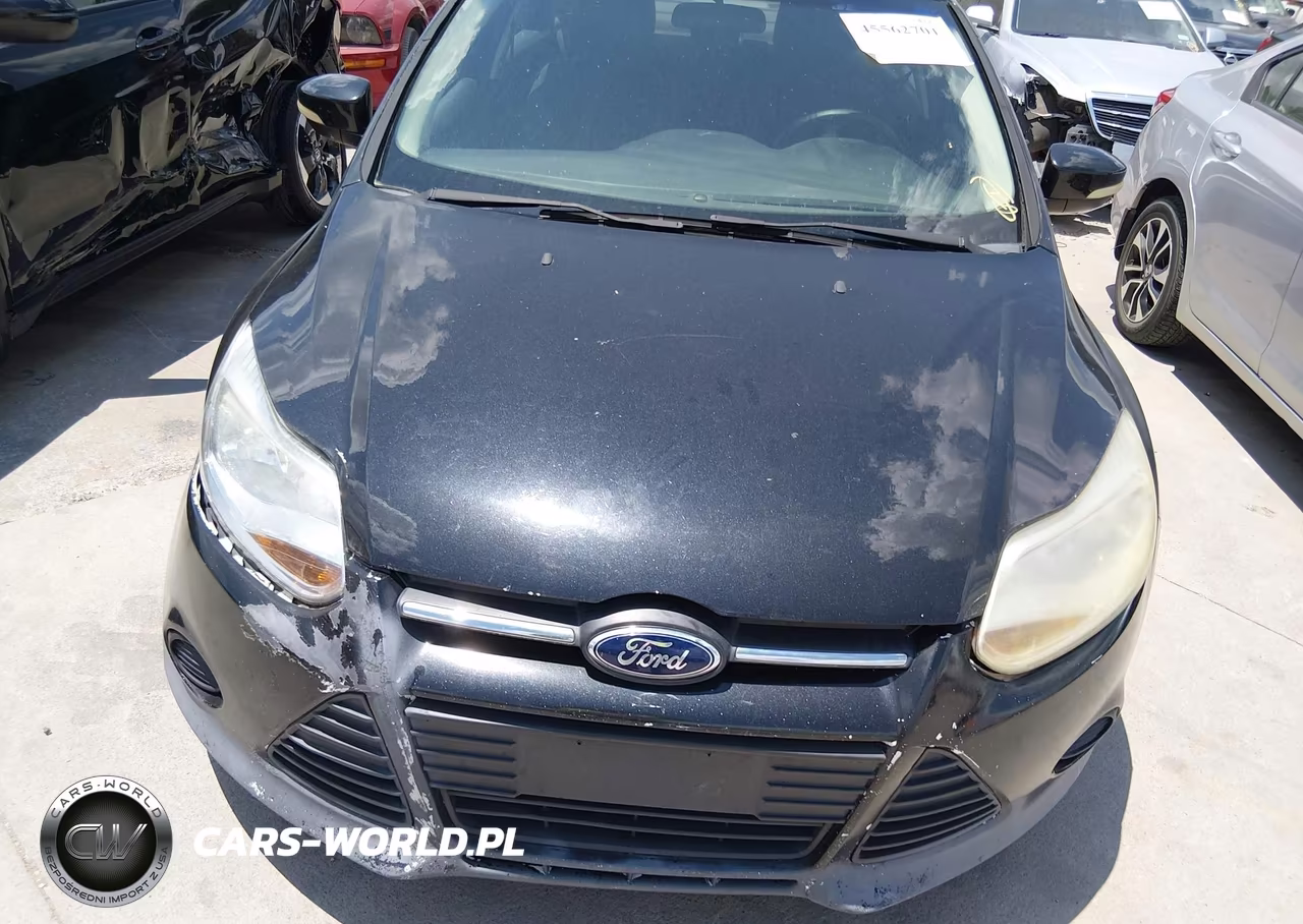 2014 Ford Focus Se VIN:1FADP3F28EL186695 - 10
