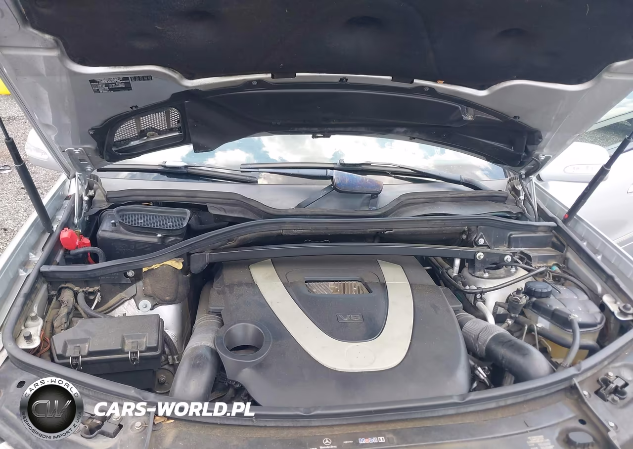 2008 Mercedes-Benz Gl-Class 4.6L VIN:4JGBF71E28A422122 - 10