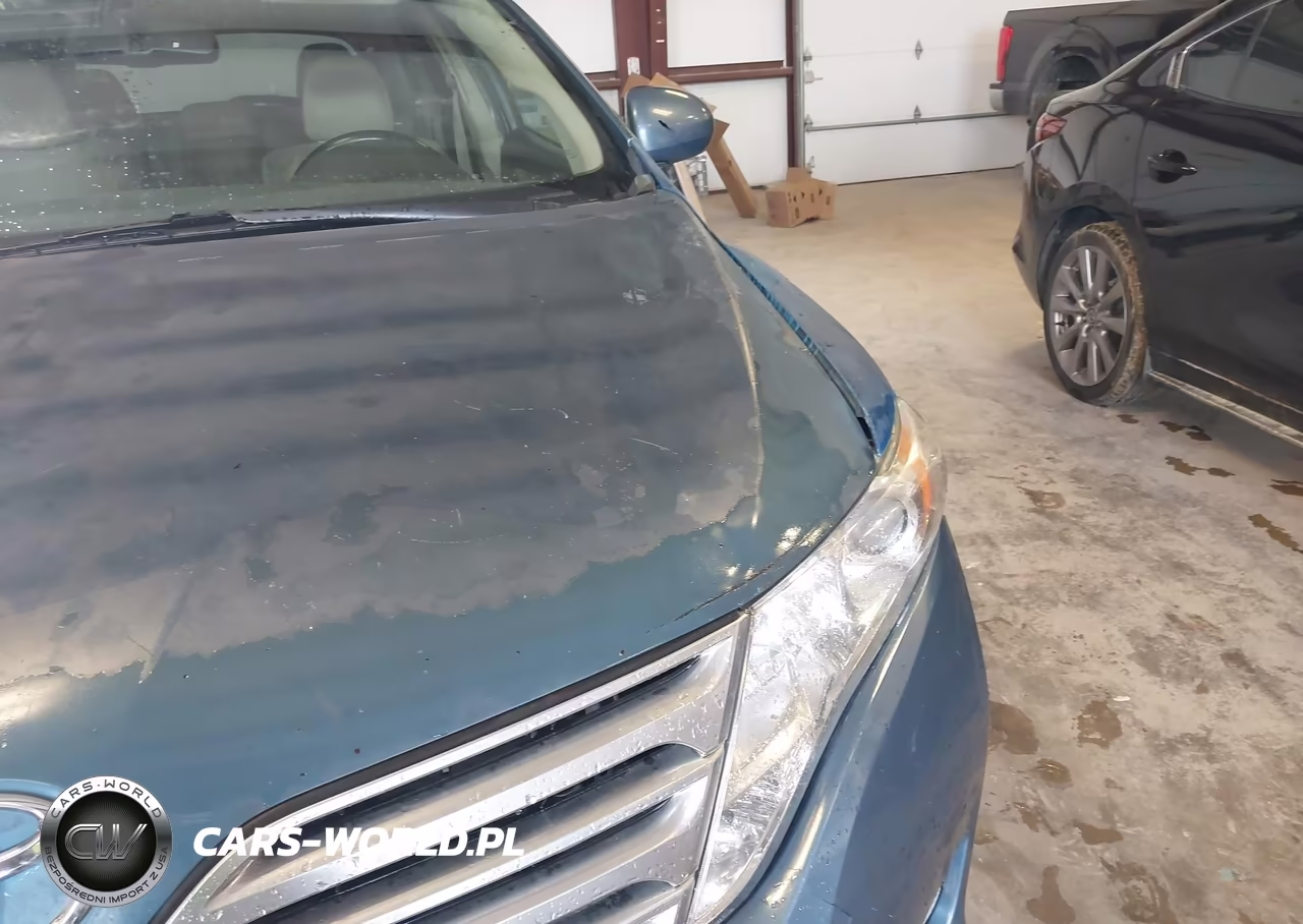 2009 Toyota Venza VIN:4T3ZE11A69U017951 - 12