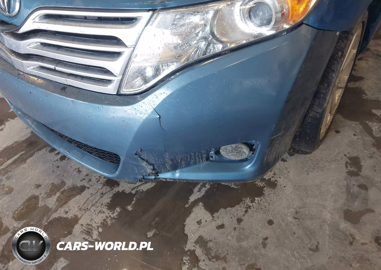 2009 Toyota Venza VIN:4T3ZE11A69U017951 - 6