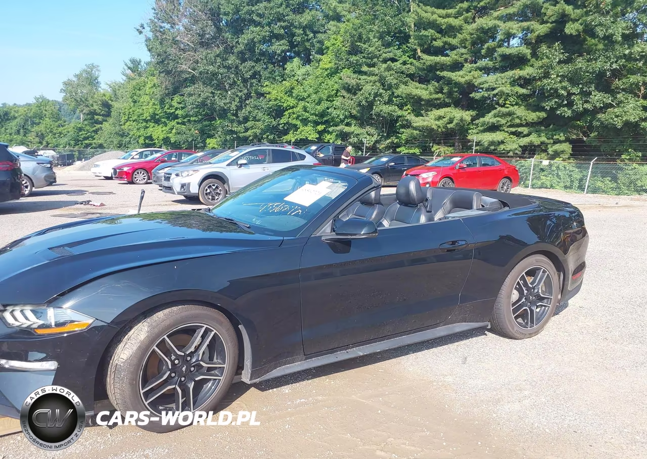2019 Ford Mustang Ecoboost-Ecoboost Premium VIN:1FATP8UH9K5170196 - 14