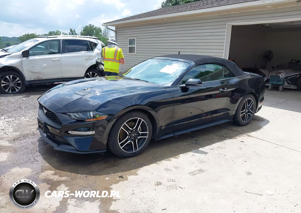2019 Ford Mustang Ecoboost-Ecoboost Premium VIN:1FATP8UH9K5170196 - 2