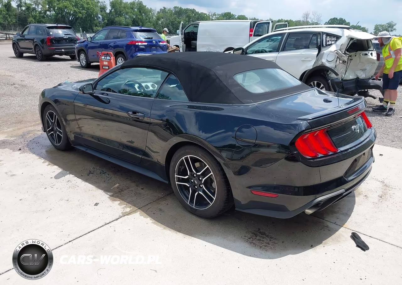 2019 Ford Mustang Ecoboost-Ecoboost Premium VIN:1FATP8UH9K5170196 - 3