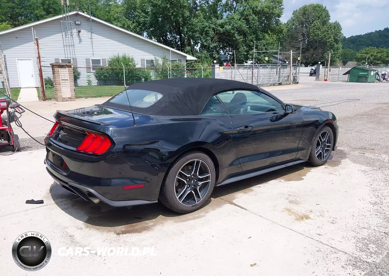 2019 Ford Mustang Ecoboost-Ecoboost Premium VIN:1FATP8UH9K5170196 - 4