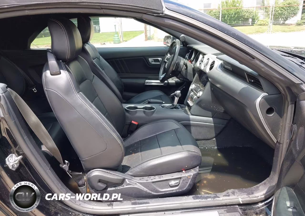 2019 Ford Mustang Ecoboost-Ecoboost Premium VIN:1FATP8UH9K5170196 - 5