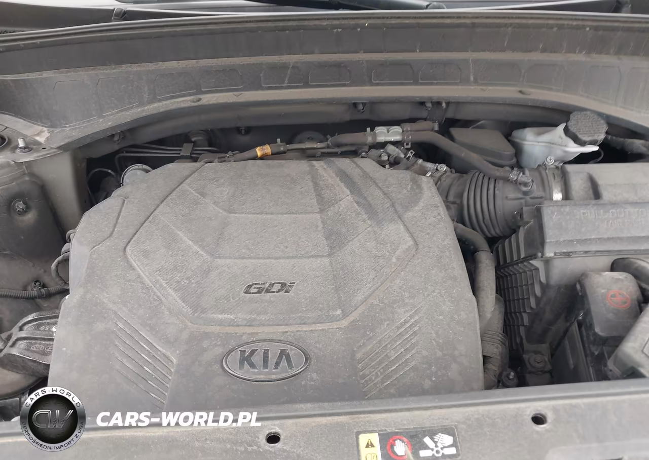 2020 Kia Telluride Sx VIN:5XYP5DHC4LG002659 - 10